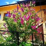 Paradise Garden 빌라 사라예보