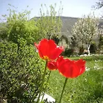 Paradise Garden 빌라 사라예보