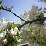 Paradise Garden 빌라