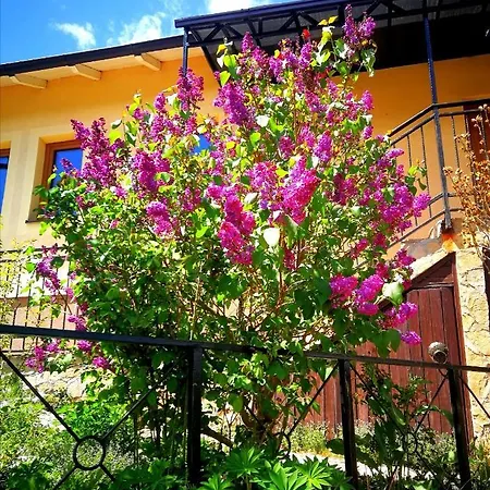 Paradise Garden Vila Sarajevo