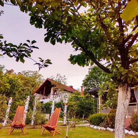 Paradise Garden Willa