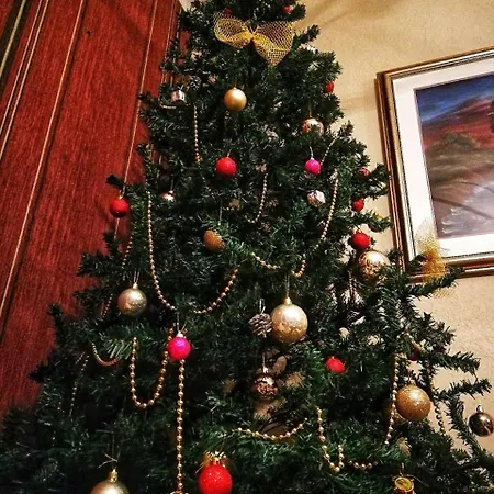 Paradise Garden Willa