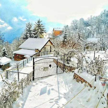 Willa Paradise Garden *