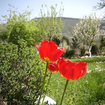 Paradise Garden Willa Sarajewo